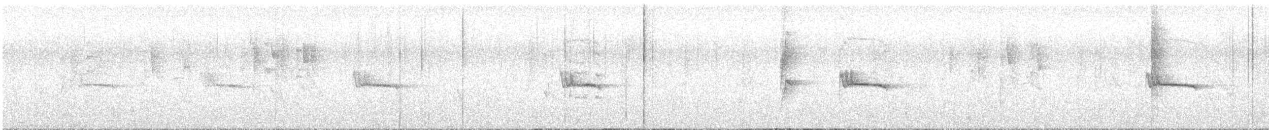 Silvereye - ML636706227