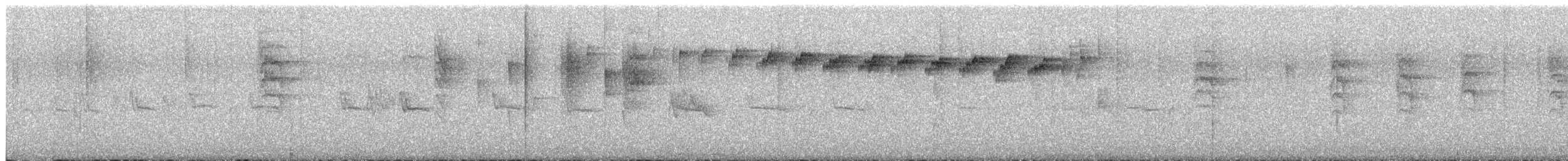 New Zealand Fantail - ML636706809