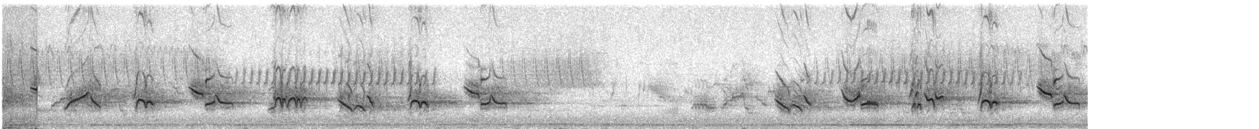 American Robin - ML636707945