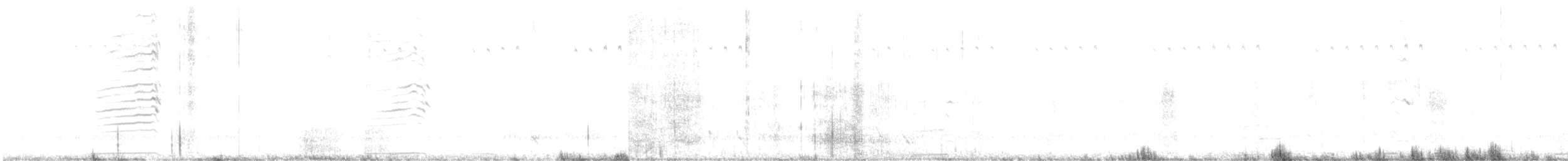Australasian Swamphen - ML636708886
