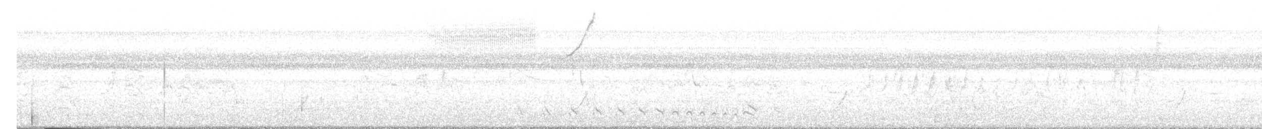 Barred Antshrike - ML636711148