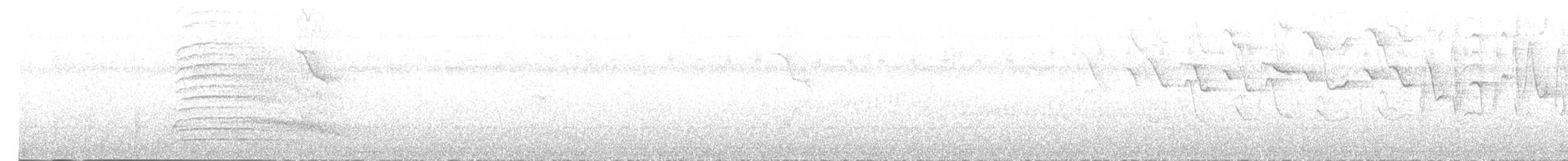 Black Caracara - ML636711244