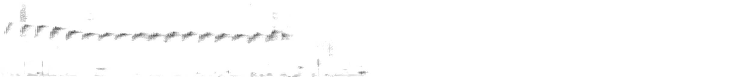 New Zealand Fantail - ML636711318