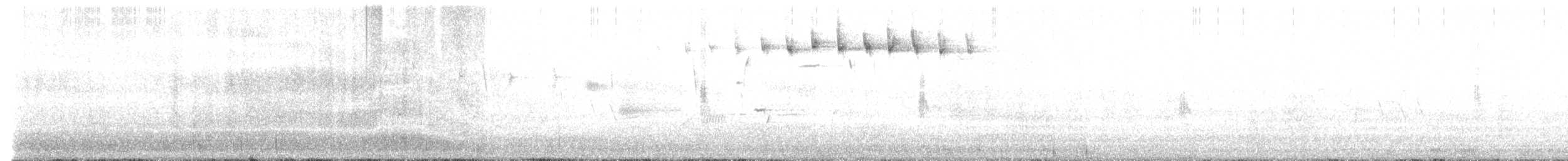 Blackpoll Warbler - ML636711460