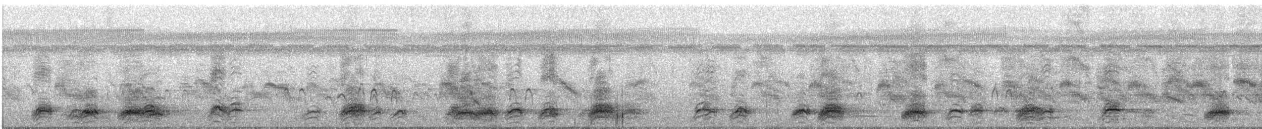 kvakoš noční - ML636712122