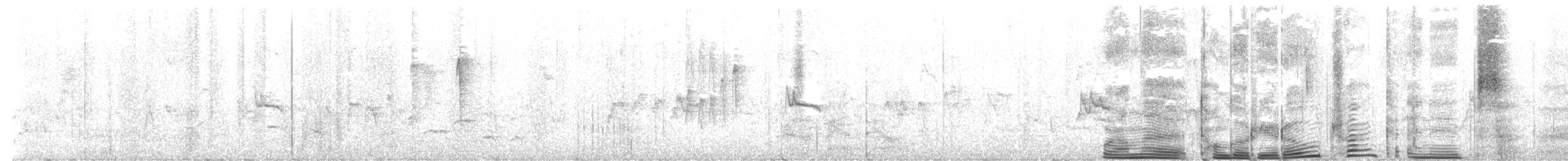 New Zealand Fantail - ML636712291