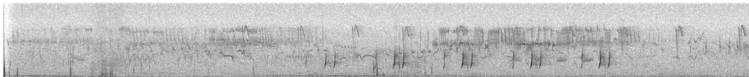 křepelka polní - ML636712390