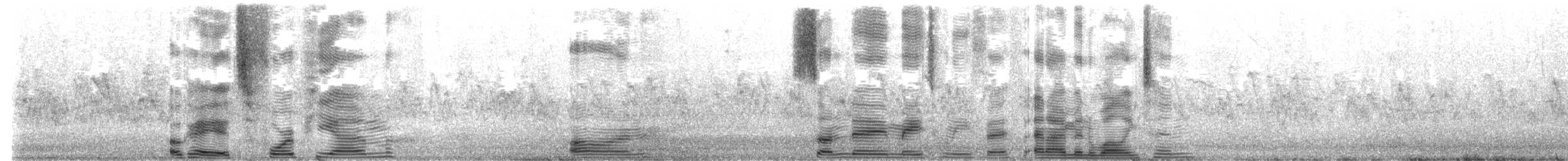 House Sparrow - ML636712442