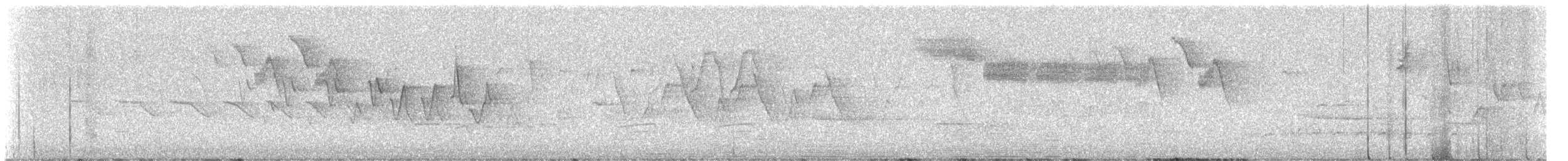 Brewster's Warbler (hybrid) - ML636712685