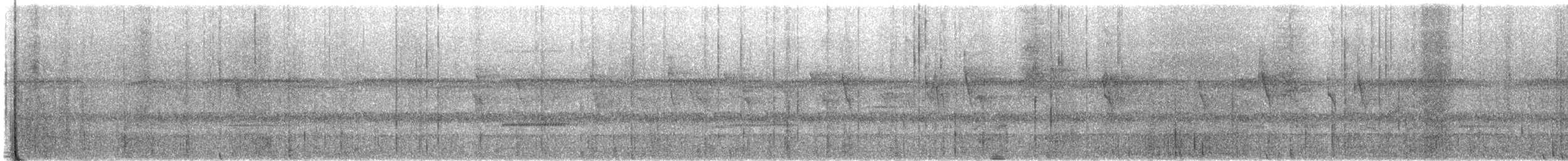 Tatama Tapaculo - ML636712933