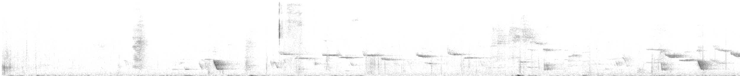 New Zealand Bellbird - ML636713089