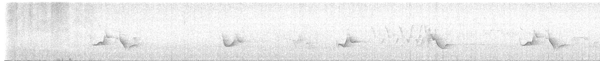 Blue-headed Vireo - ML636713374