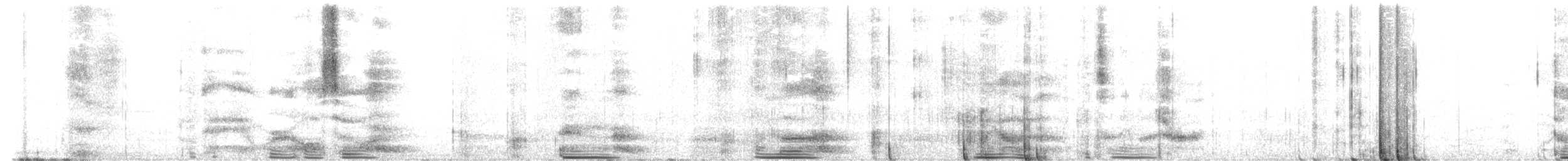 New Zealand Bellbird - ML636713413