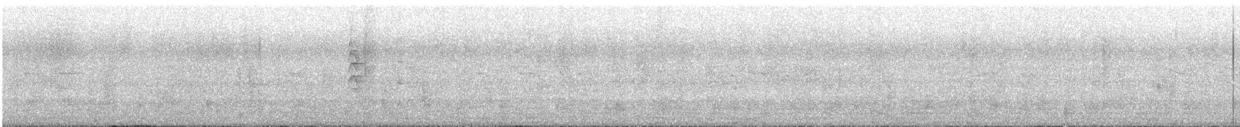 New Zealand Fantail - ML636714030