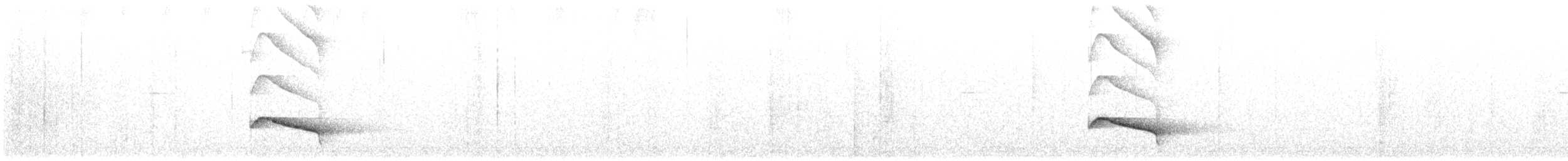 Ocellated Tapaculo - ML636714329