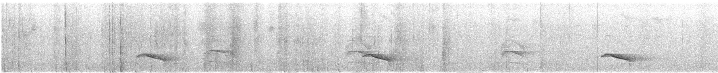Ocellated Tapaculo - ML636714337