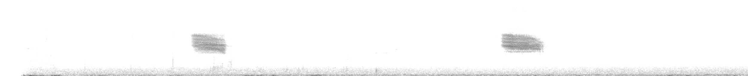 Black-billed Nightingale-Thrush - ML636714401