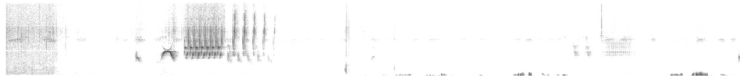 Тауї зеленохвостий - ML636715856