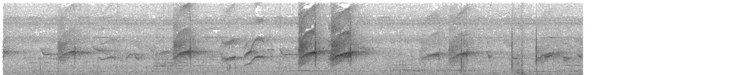 Slaty-headed Parakeet - ML636715938