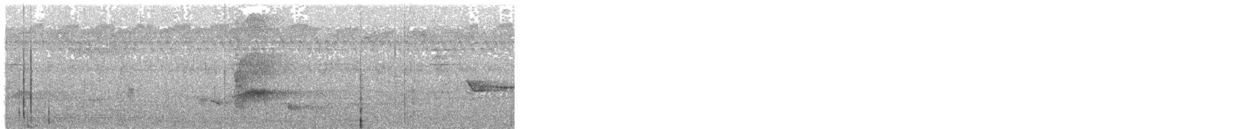 Slaty-headed Parakeet - ML636715939