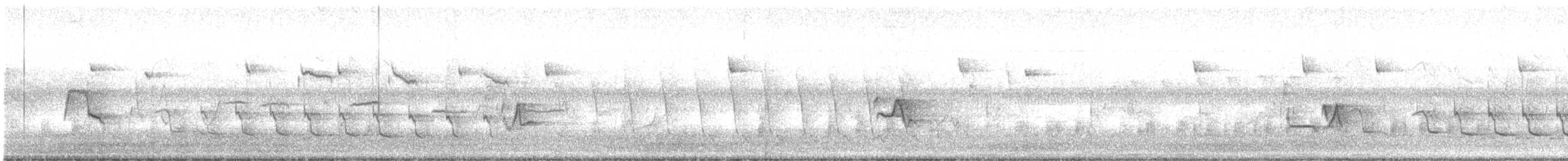 vireo sp. - ML636718478