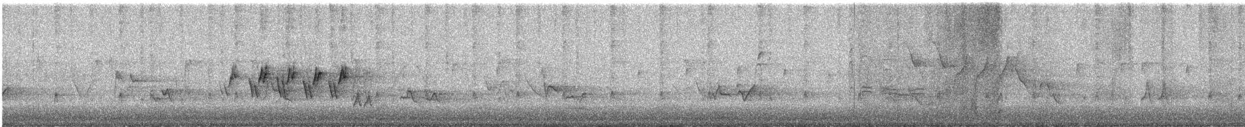 Mourning Warbler - ML636721229