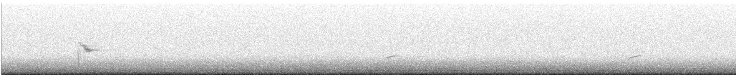 drozd newfoundlandský - ML636721516