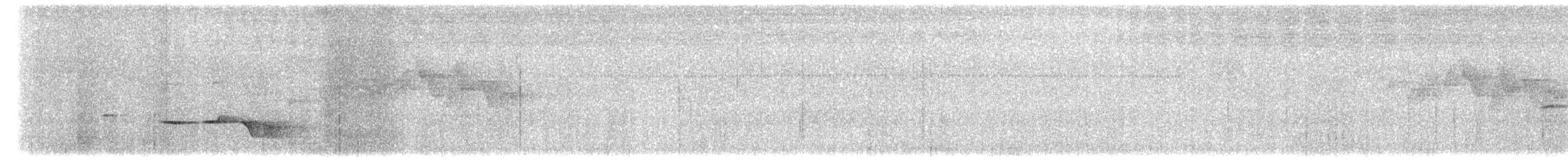 Gray-bellied Tesia - ML636722245