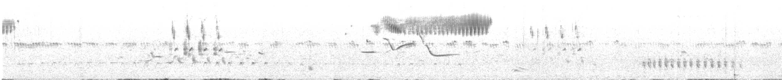 オオアメリカムシクイ - ML636723501