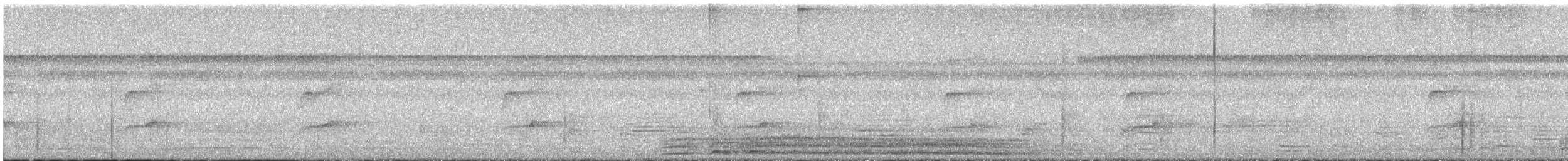 Gray-crowned Flatbill - ML636723602