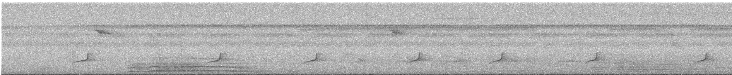 Slender-footed Tyrannulet - ML636723737