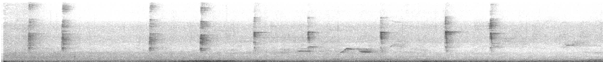strakapoud velký [skupina major] - ML636725478