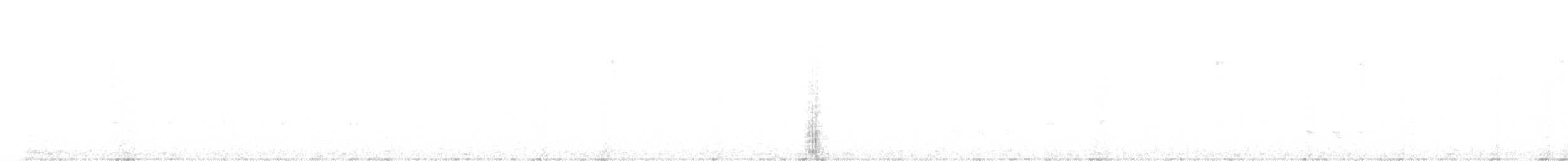 Wing-barred Piprites - ML636726650