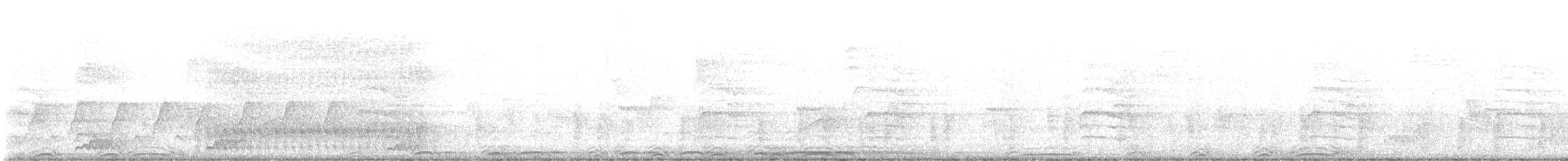 Barred Owl - ML636727096