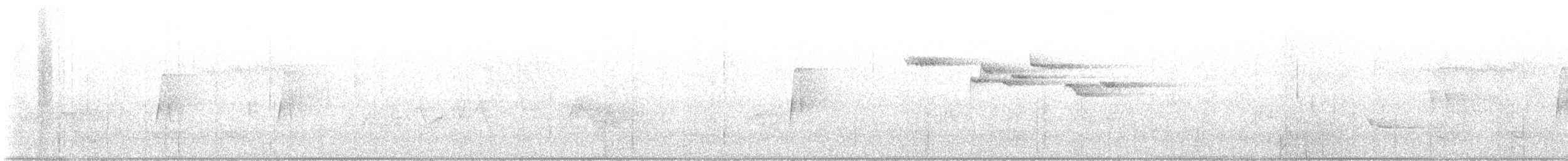 Amerikabaumläufer - ML636728666