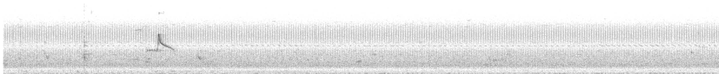 Bearded Tachuri - ML636728678