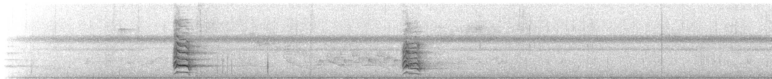 Antxeta mokogorri amerikarra - ML636729437