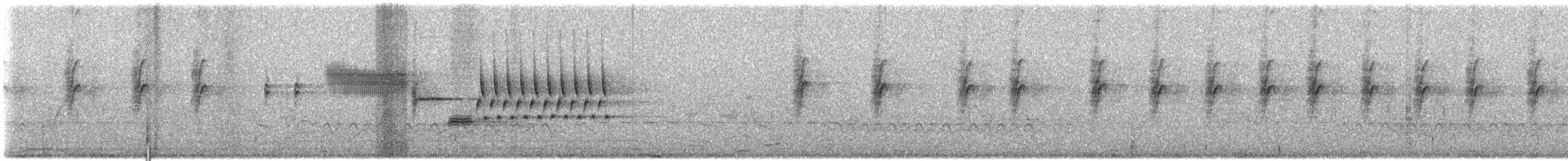 Bewick's Wren - ML636730015