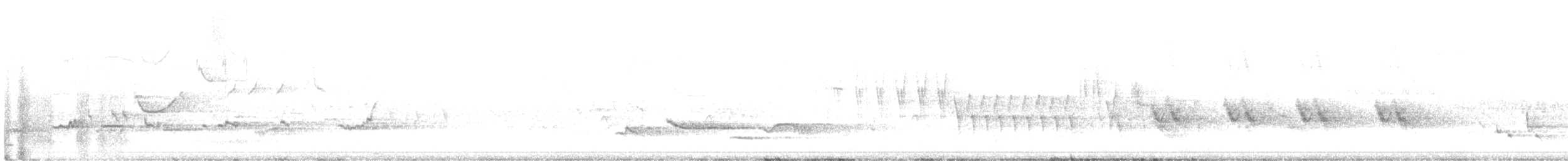Grive draine - ML636731049