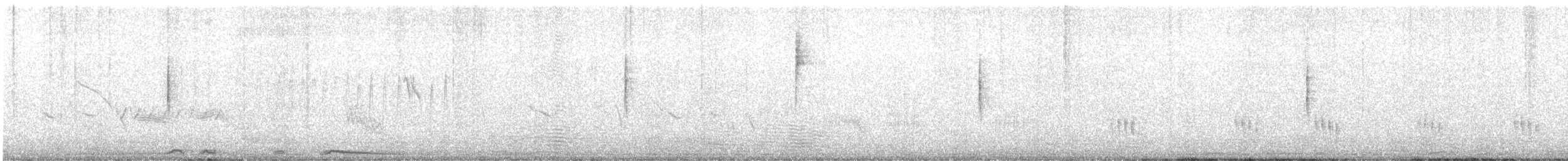 MacGillivray's Warbler - ML636731254