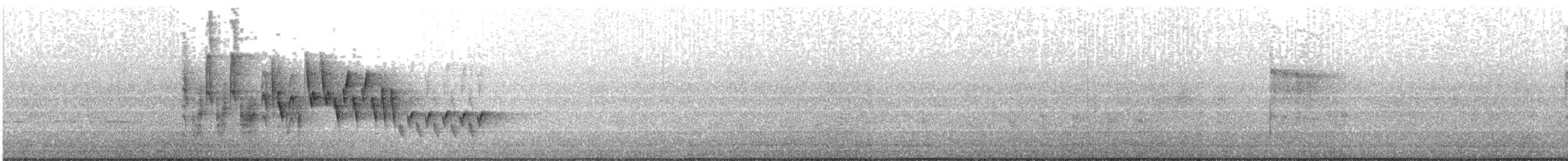 Northern House Wren (Northern) - ML636731311