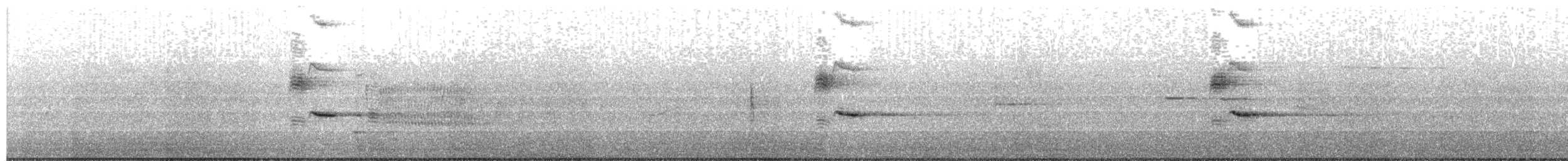 Red-winged Blackbird - ML636731323