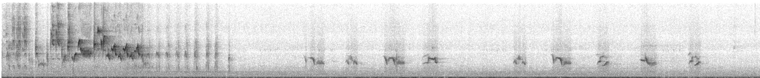 Northern House Wren - ML636734593