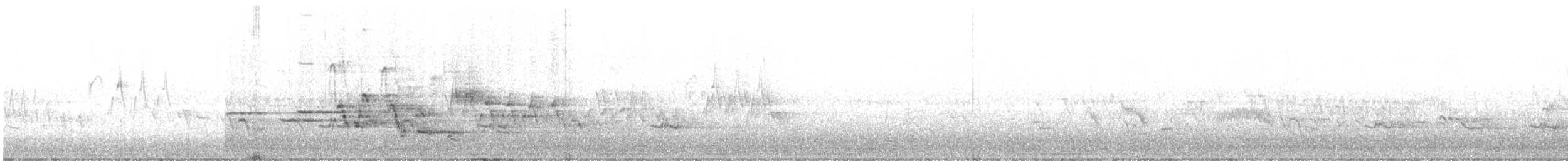 Western Meadowlark - ML636734605