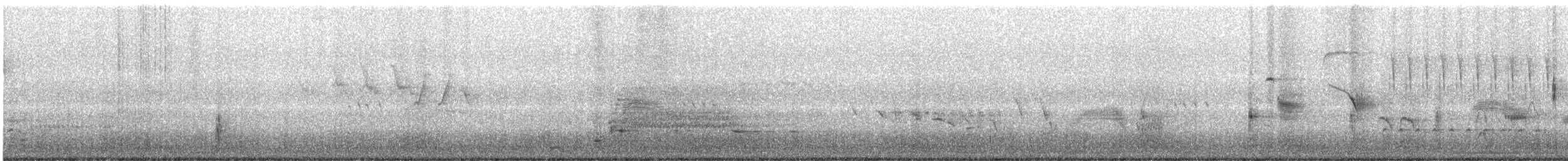 Red-winged Blackbird - ML636734616
