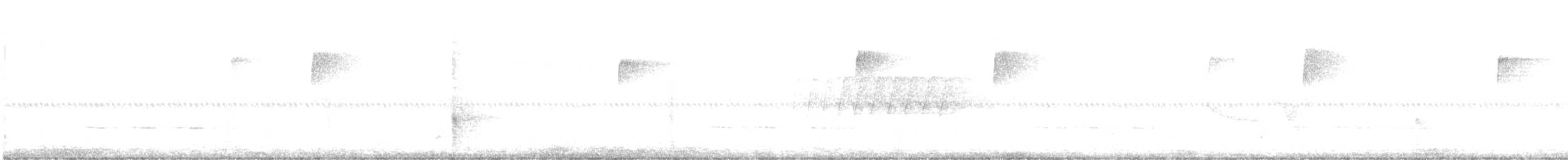 Catharus sp. - ML636736232