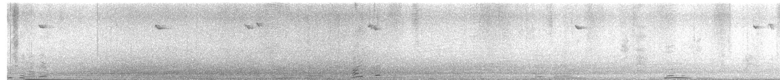 Thorn-tailed Rayadito - ML636736349