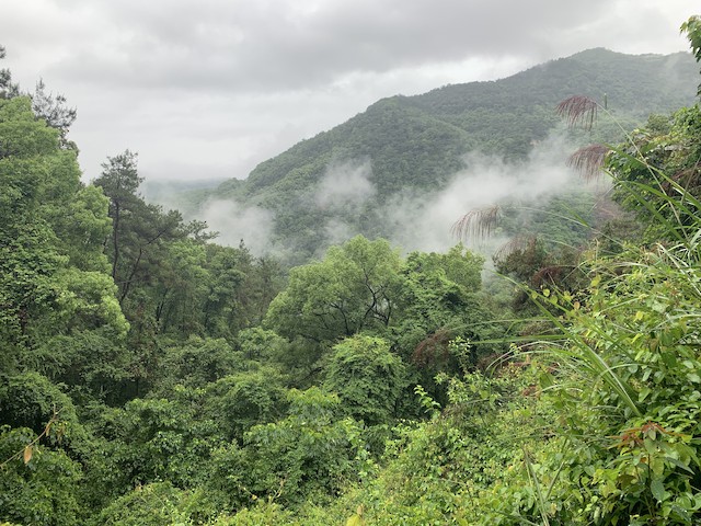 福州国家森林公园(Fuzhou National Forest Park), Fujian, China