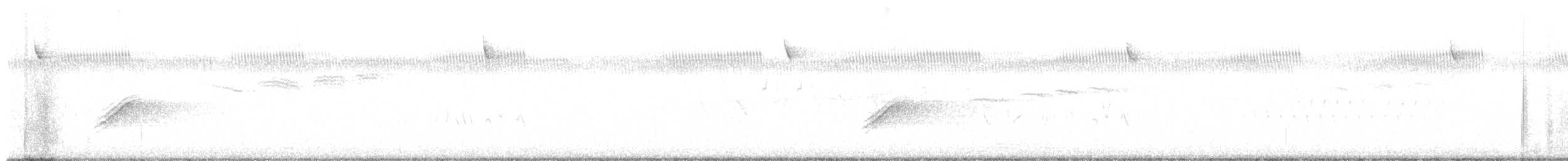 Bachman's Sparrow - ML636736838