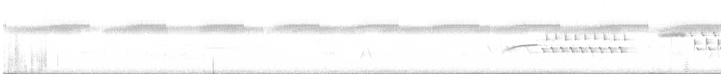 Bachman's Sparrow - ML636736840